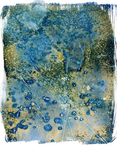 Image de Agnès M.
