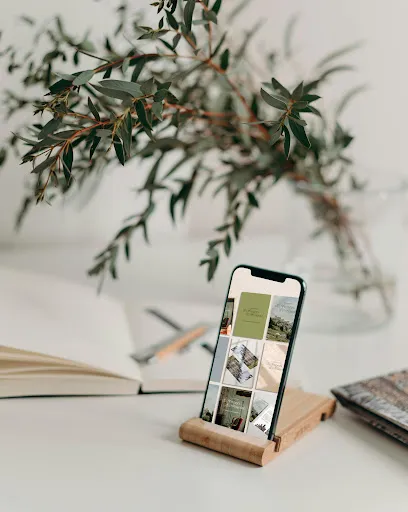Image de Amandine Lambert - Graphiste Branding