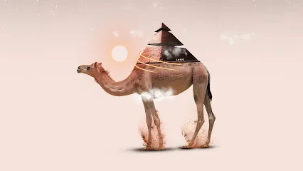 Image de BIZ DESIGN - Graphiste Webdesigner Toulouse