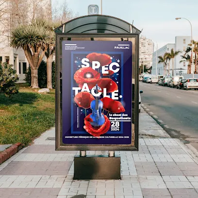 Image de Carole SPINELLI - Graphiste et Illustratrice