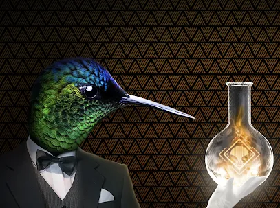 Image de Colibri Factory