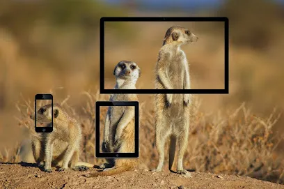 Image de Com'onSoft