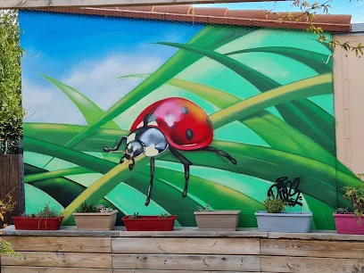 Image de Diips Graffeur Pro