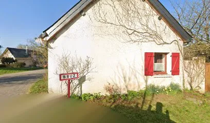 Image de Drôles 2 zèbres Studio