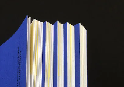 Image de Éléonore Fines Graphiste