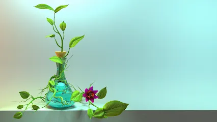 Image de Elixir.bzh • Graphisme & Sites Web