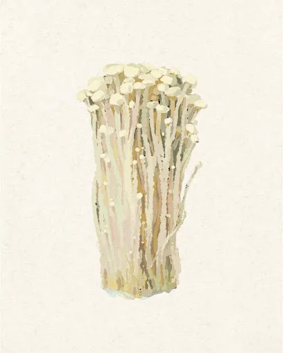 Image de Flavie Mauvais ✦ Illustration scientifique & Graphisme