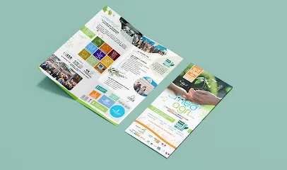 Image de Julie Dechelette - Création Graphique