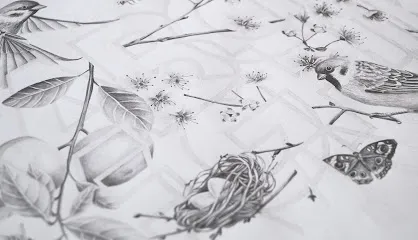 Image de Justine Jacques DA & illustration