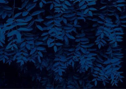 Image de Loïs Florentz / Directrice artistique & Graphiste