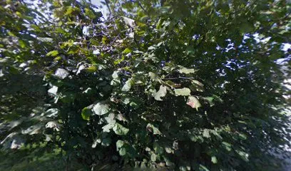 Image de Minoé