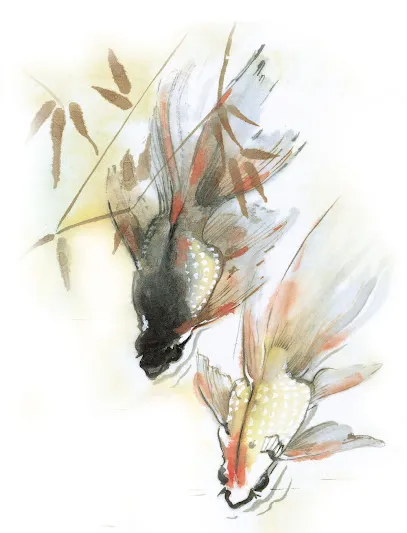 Image de Nathalie Lambert Graphiste