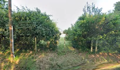 Image de Pixel-et-poivre