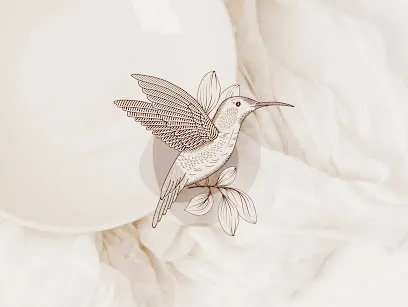 Image de Studio Splendor Solis